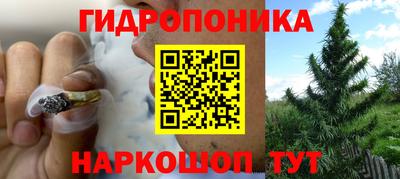Альфа ПВП Лесосибирск