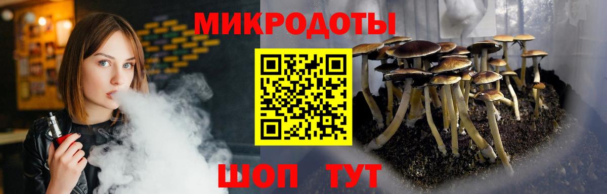 Шебекино  Псилоцибиновые грибы мухоморы  Галлюциногенные грибы мухоморы  Вход с VPN 